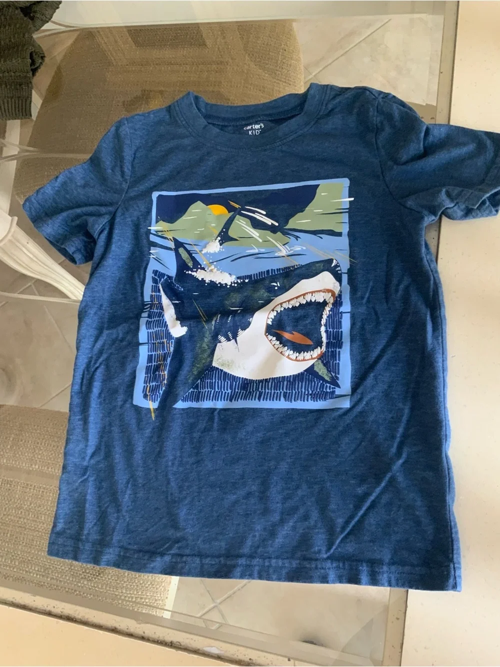 Carter’s Boys Size 7/7A T Shirt